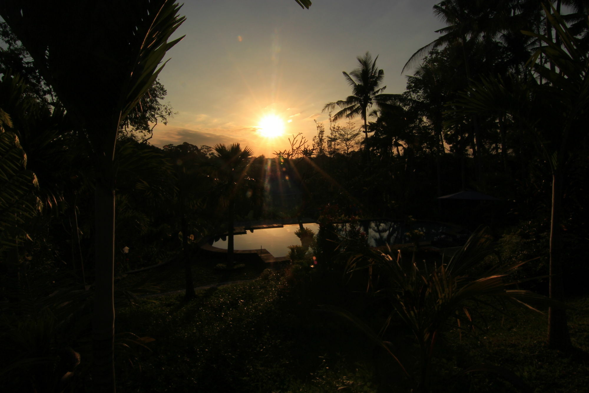 Villa Capung Mas Ubud Exterior photo