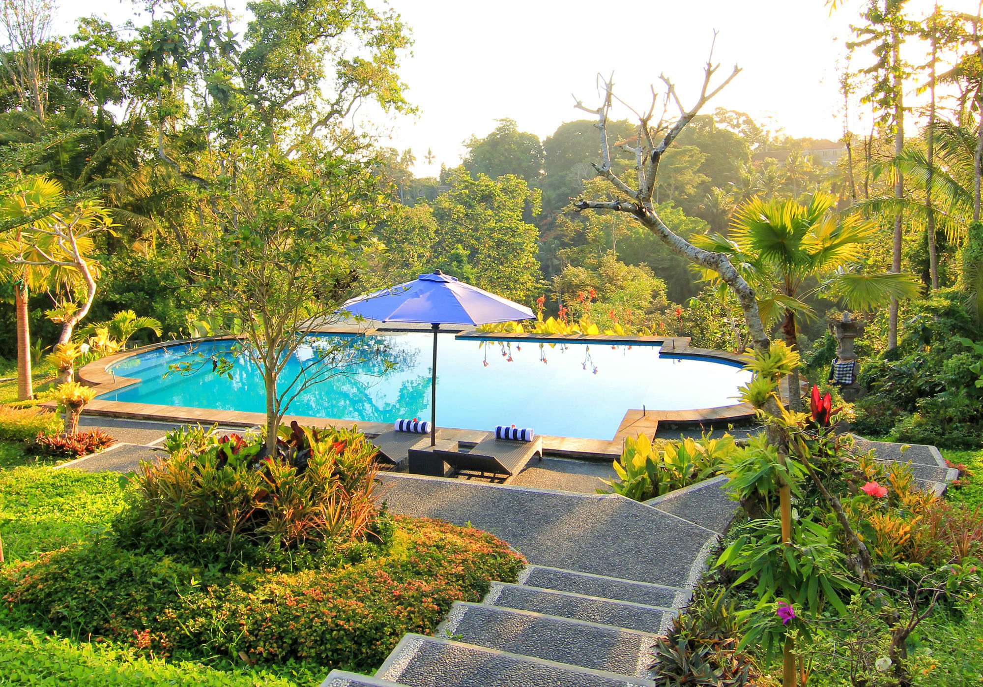 Villa Capung Mas Ubud Exterior photo
