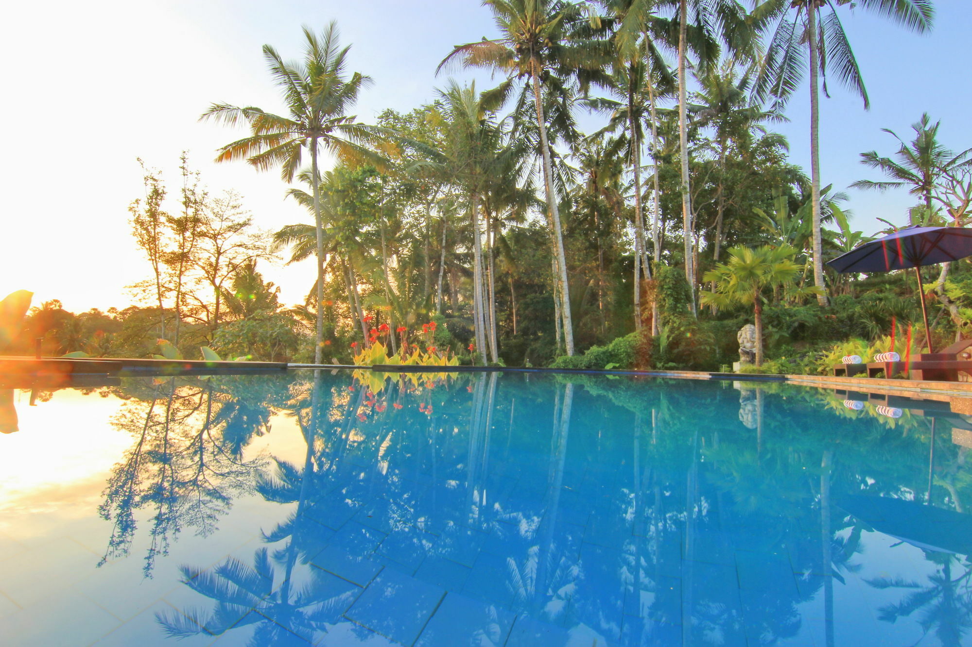 Villa Capung Mas Ubud Exterior photo