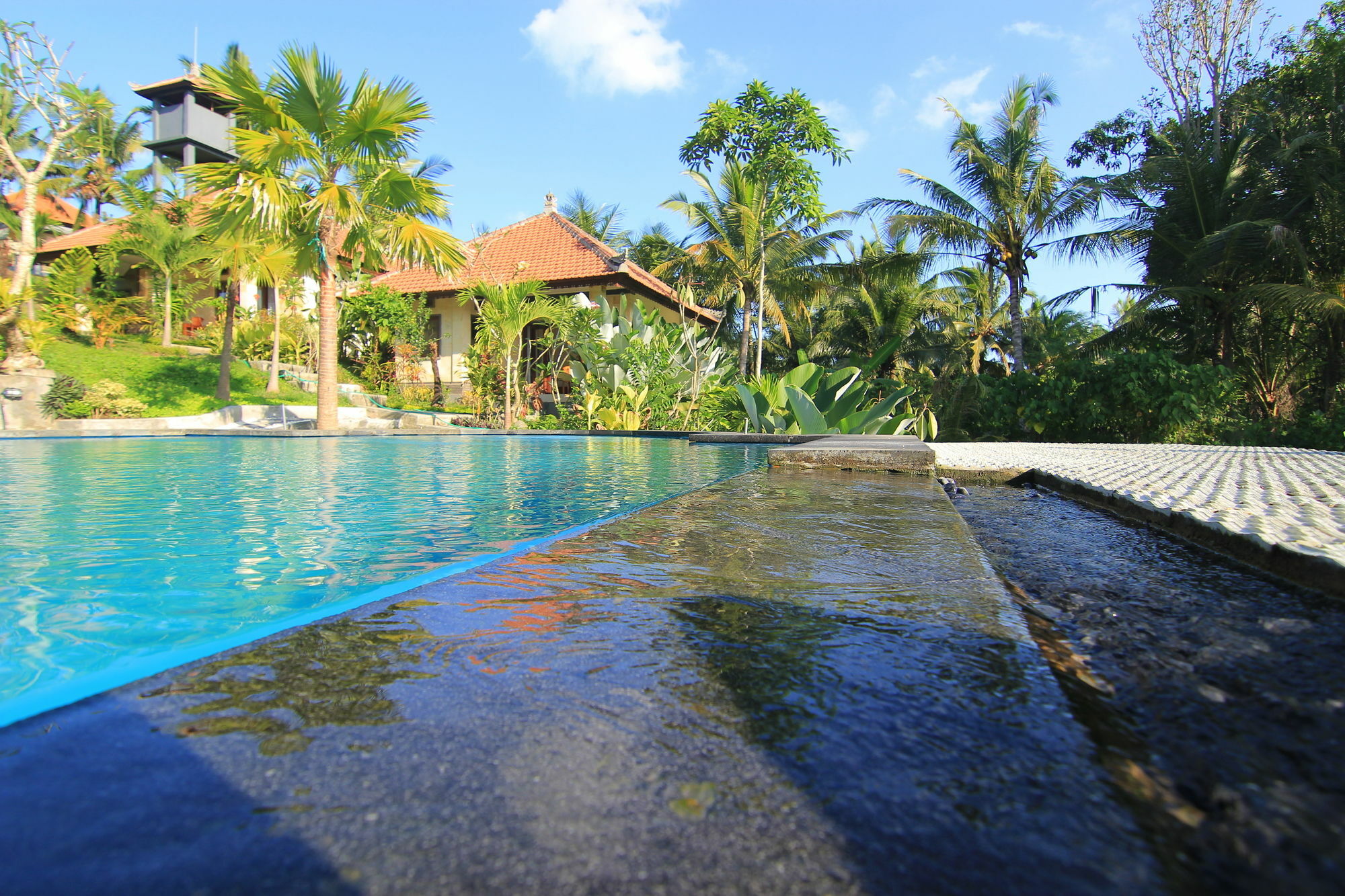 Villa Capung Mas Ubud Exterior photo
