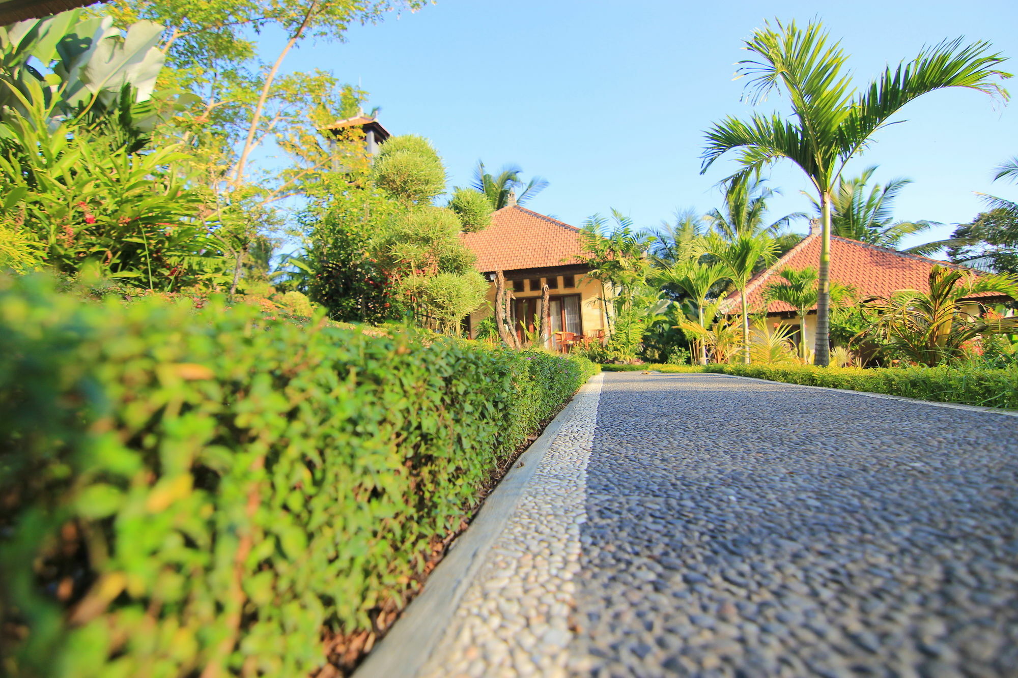 Villa Capung Mas Ubud Exterior photo